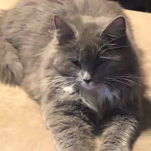 Meet your Posher, Beth